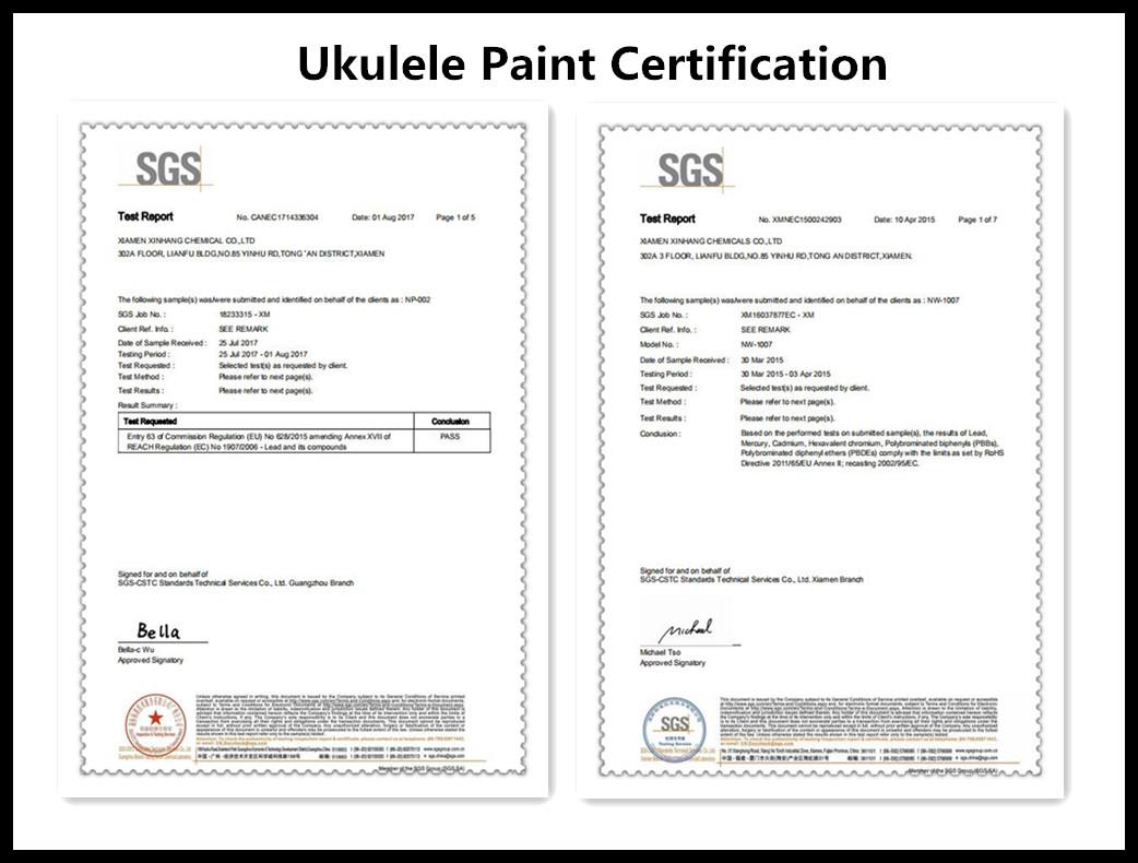 Ukulele certifications 2