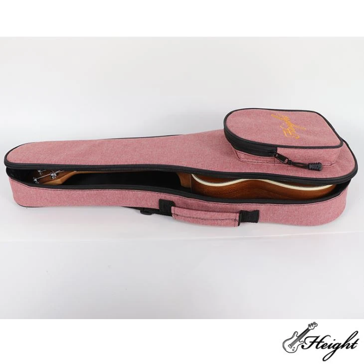 21 Ukulele Bag