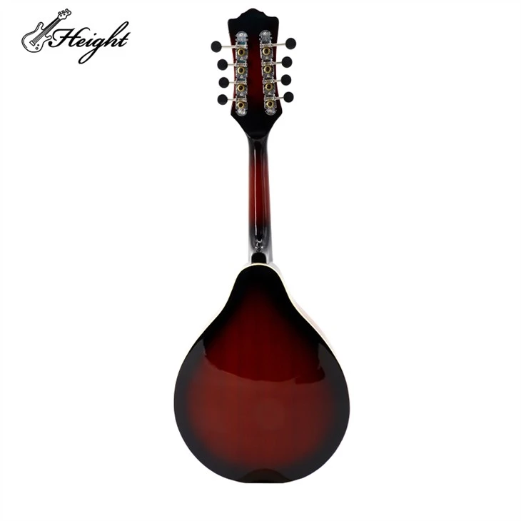 Acoustic-Electric Mandolin: Versatile Tone