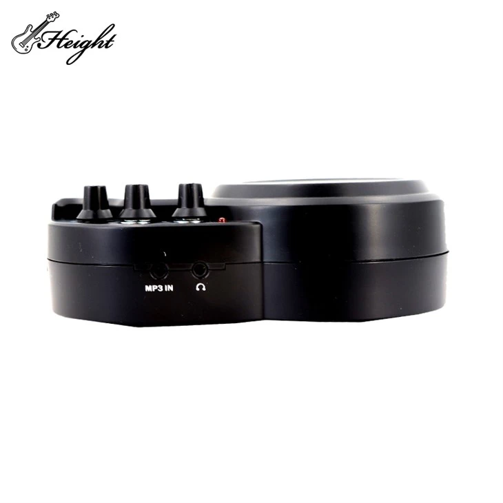 Electric Guitar Small Speaker